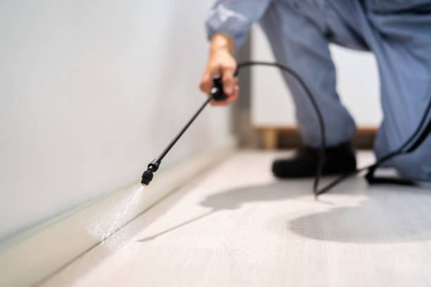 Licensed Pest Control service in Mount Ephraim, NJ - Show Me Pest Control