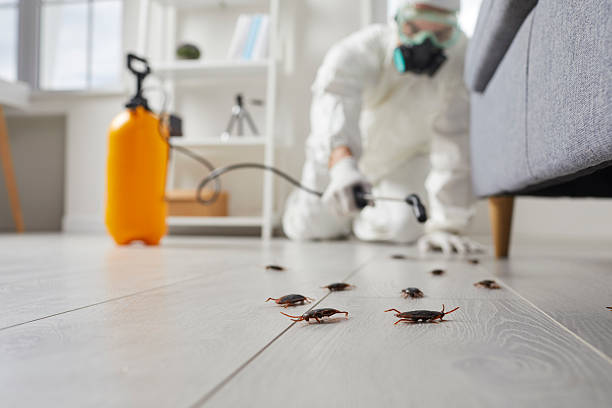 Post-Treatment Bed Bug Interceptor Monitoring in Mount Ephraim