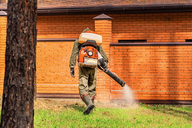 Bed Bug Clearance Verification and Documentation in Mount Ephraim